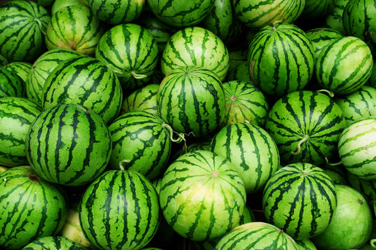 melone