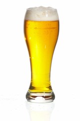 Glass of beer close-up with froth over white background
