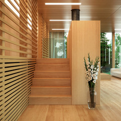 Modern wood panelled home