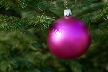 Christmas ball on a background of a natural fir-tree.