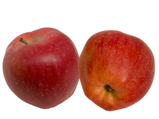 Apples red on a white background