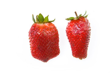 Isolated Strawberry