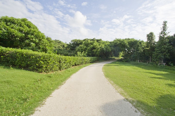 japanese garden