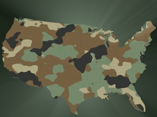 the United States of America in camouflage