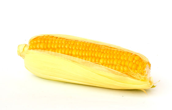 Corn isolated on white background