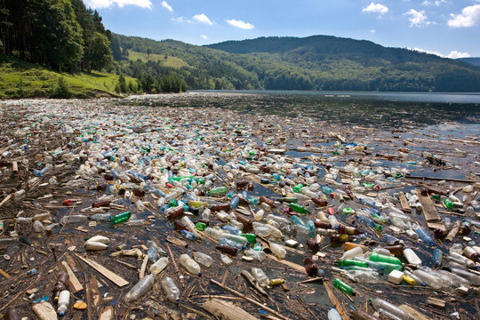very important plastic and trash pollution on beautiful lake
