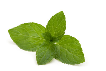 Fresh food leaves on white background