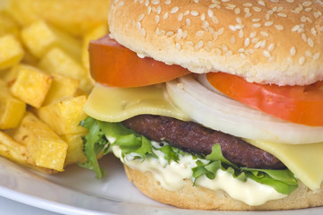 juicy hamburger meat lettuce tomato and onion mayonnaise
