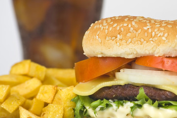 juicy hamburger meat lettuce tomato and onion mayonnaise