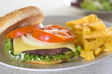 juicy hamburger meat lettuce tomato and onion mayonnaise