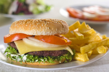 juicy hamburger meat lettuce tomato and onion mayonnaise