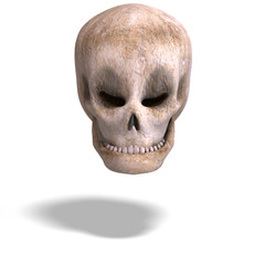 funny toon pirate head is looking at you with Clipping Path