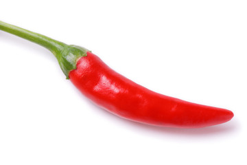 Red hot chilly pepper isolated against white background