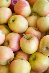 Apples