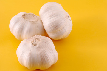 Three garlics on yellow background