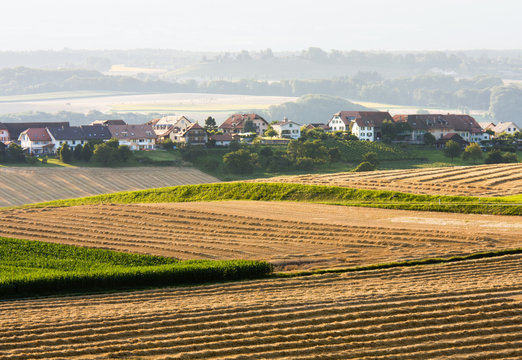Rural landscape with fields