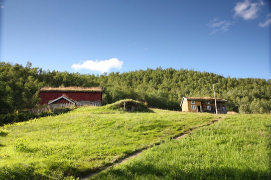 Norwegian museum with grass roof houses