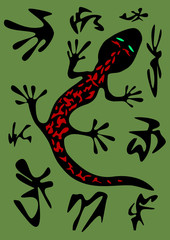 Fototapeta premium Salamander