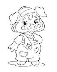 Illustration pig