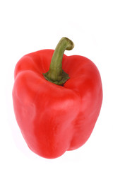 paprika