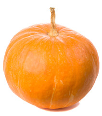 close-up single orange, pumpkin, isolated on white