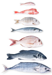 pesce gastronomico