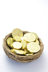 Gold Coins In Nest On White Background