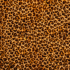 decorative leopard texture
