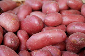Pommes de terre