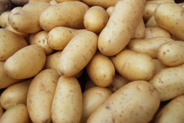 Pommes de terre