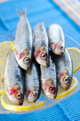 Group of sardines on lemon slices