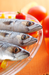 Group of mackerel fish on different vegetables
