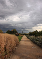promenade avant l'orage