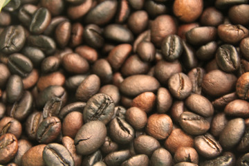 coffee beans