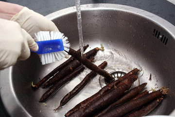 Schwarzwurzel säubern und waschen