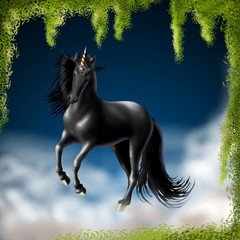 unicorno nero