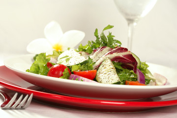 Tilted Side View of Healthy Salad on White