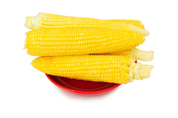 Corn cobs  isolated on the white background