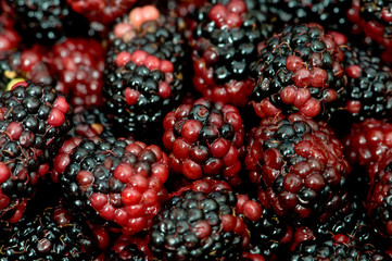 Lots of berries arranged at the background