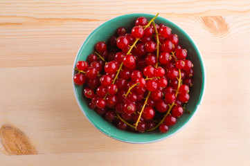 Red currant in cup
