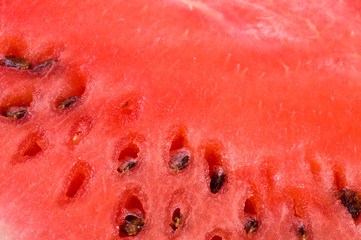 Background of brightly lwatermelon slices..
