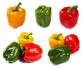 peppers in different colors
