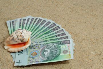 Polish  money on sand with sea shell
