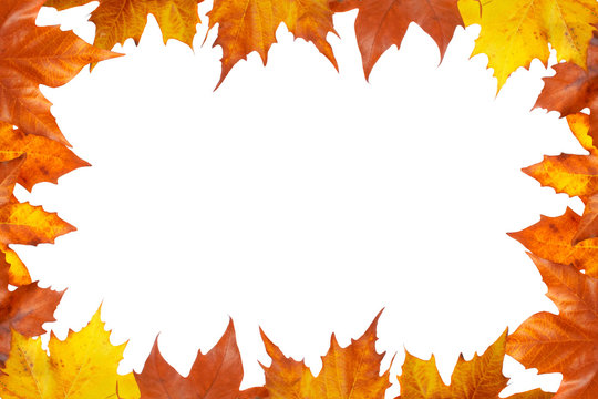 Autumn border made of leaves, isolated on white background
