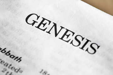 The book of genisis in the bible