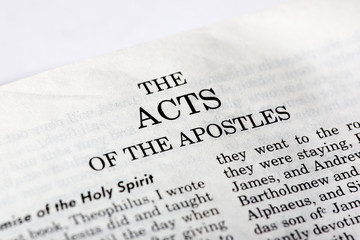 A macro detail of the book of Acts