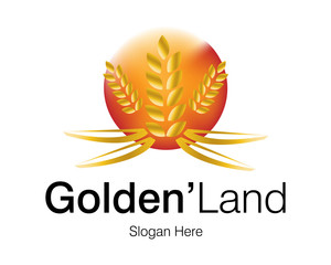 Logo Design for Business Company