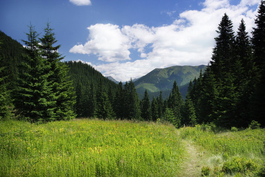 Landscape in Tatra Mountains