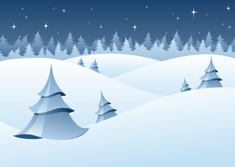 Winter woodland scenery