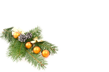 decorated tree branch on white background